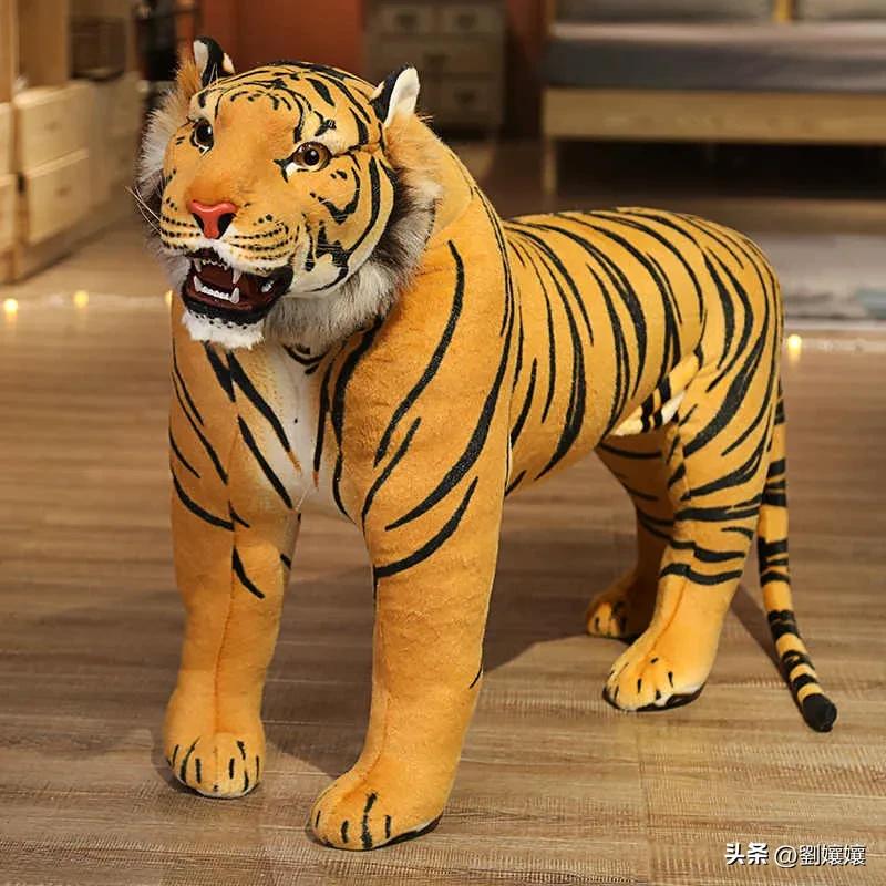 我的前半生吵架了,我的前半生中的冲突