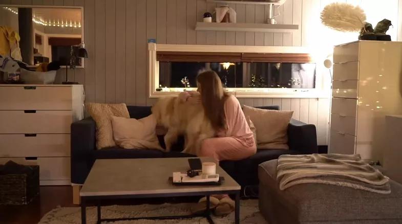 北极圈极夜生活,北极圈的极夜生活