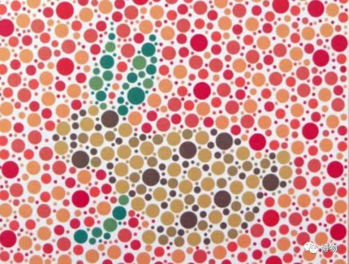 为什么黑猫比白猫活泼,为什么黑猫很活泼