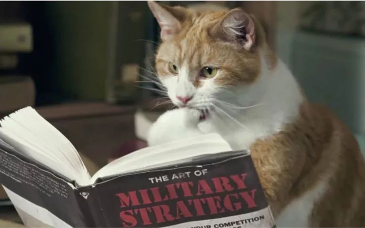 广府人为什么叫作弊做“出猫”？这6只猫，所有广东人都识