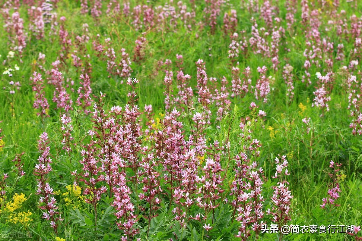 她做保姆这些年－豪门生活之危机公关（387）