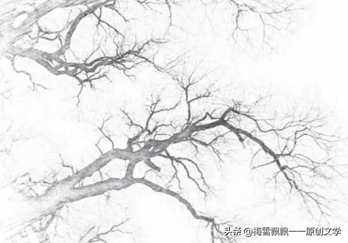 长篇当代军旅小说《军之恋·清冬栀子》（30）