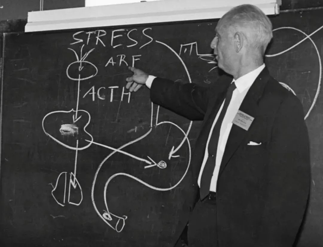 怎么界定抑郁症患者,怎么判定一个人是不是抑郁症