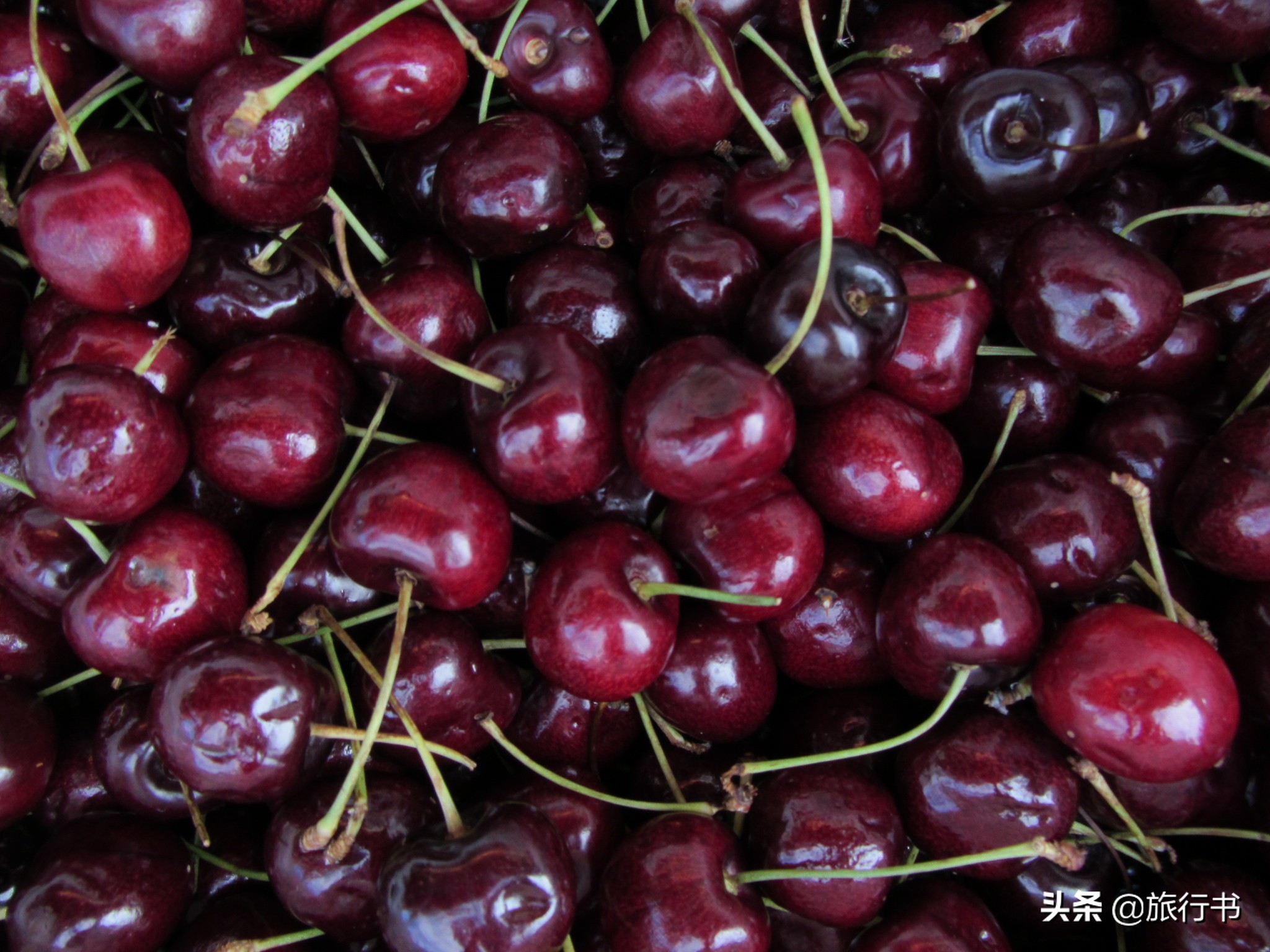 智利：能帮助我们实现樱桃、葡萄酒自由的国家