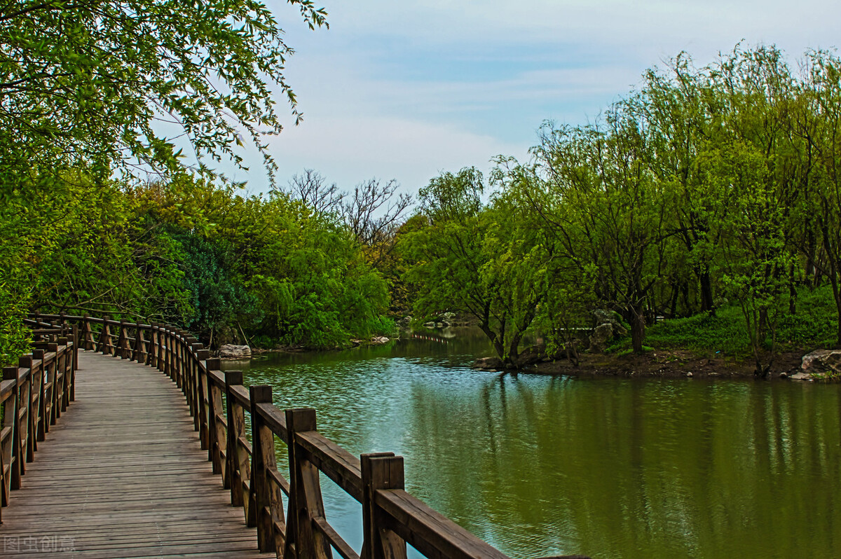 上海市区森林秘境,上海这些景区值得一去