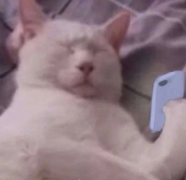 年度王炸的电影,年度王炸电视剧