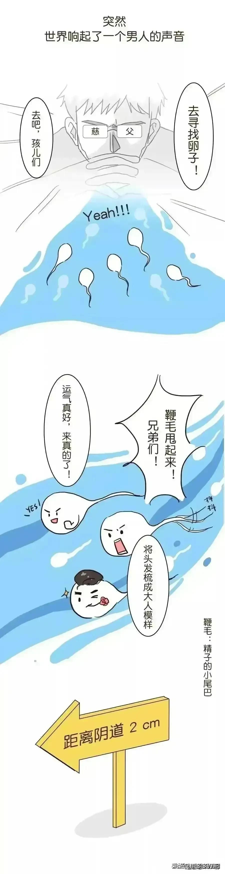 #头条动漫#男人的精子有多励志