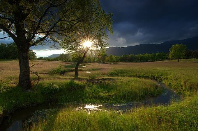 王维50首最好的五言绝句,王维最有名的十首诗大全