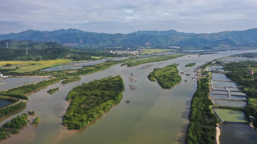 湿地保护公益诉讼典型案例,最高检河道治理公益诉讼典型案例