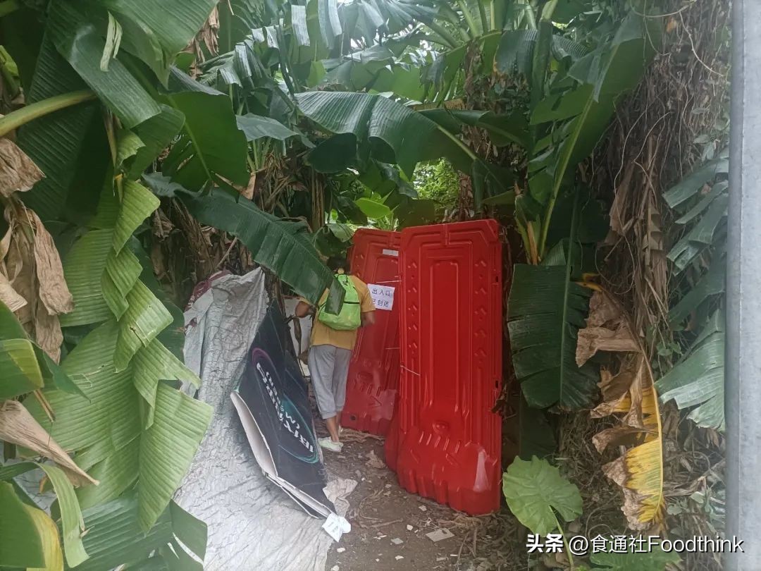 六个人被封在办公室的七天七夜(附物资清单和健康攻略)