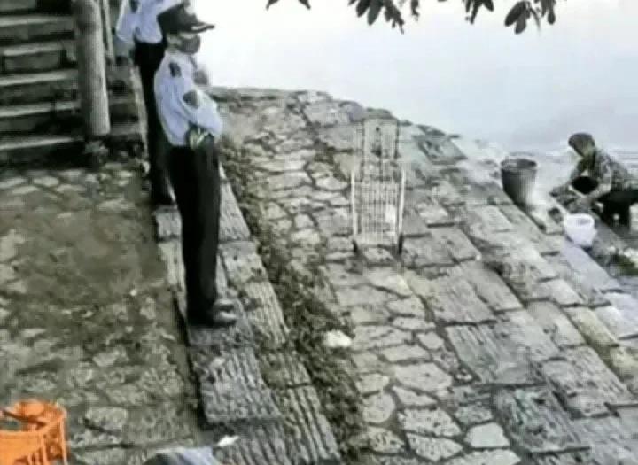 农妇洗衣服,农妇河边洗衣服引争议