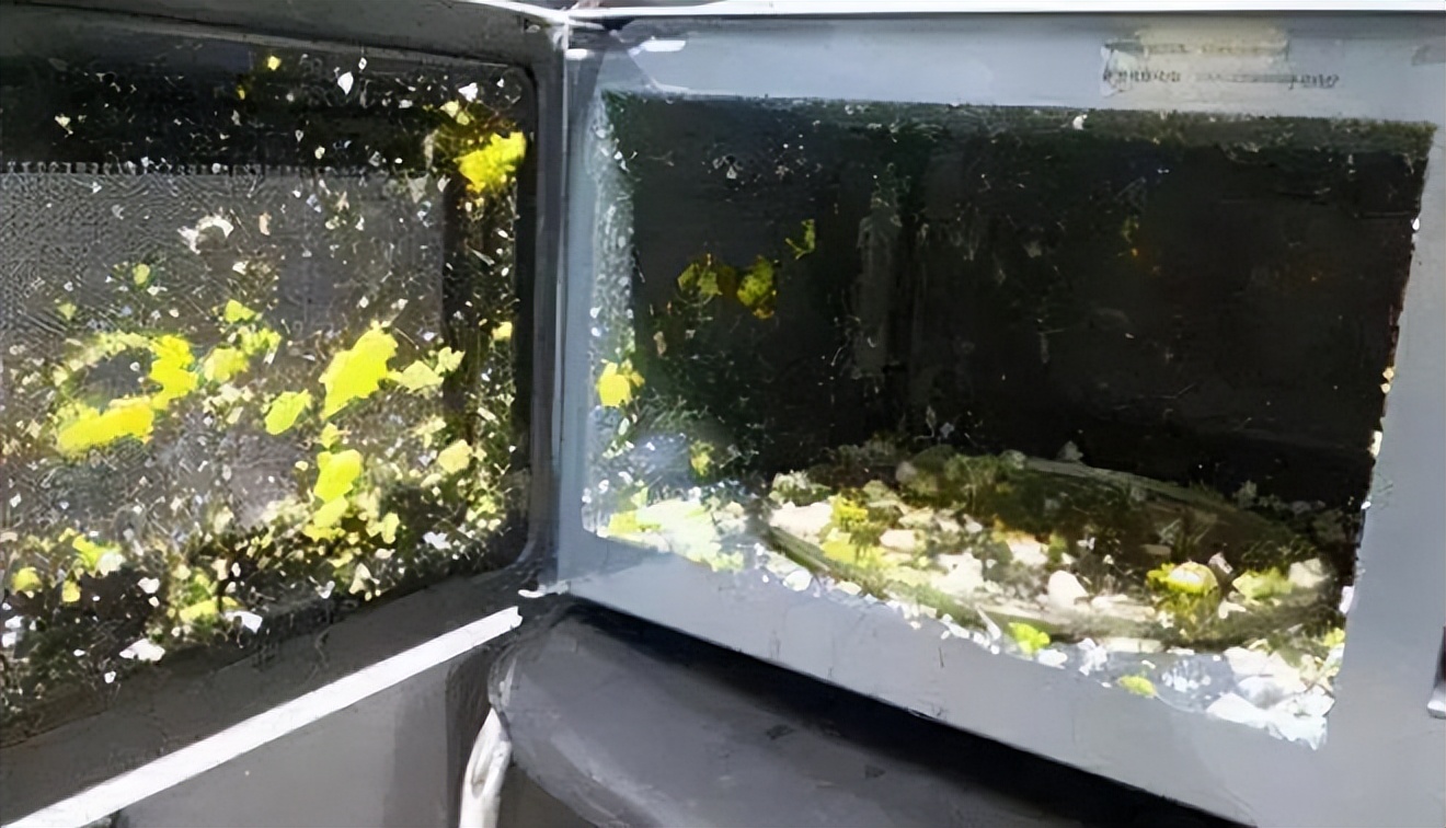 微波炉哪个品牌质量比较好又实惠,微波炉哪个品牌好用又实惠耐用