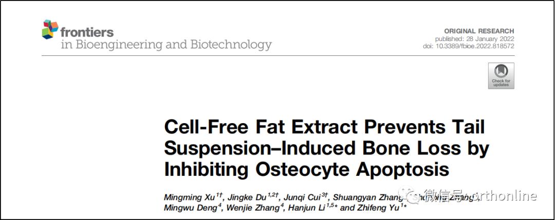 无细胞脂肪活性蛋白预防骨质疏松研究