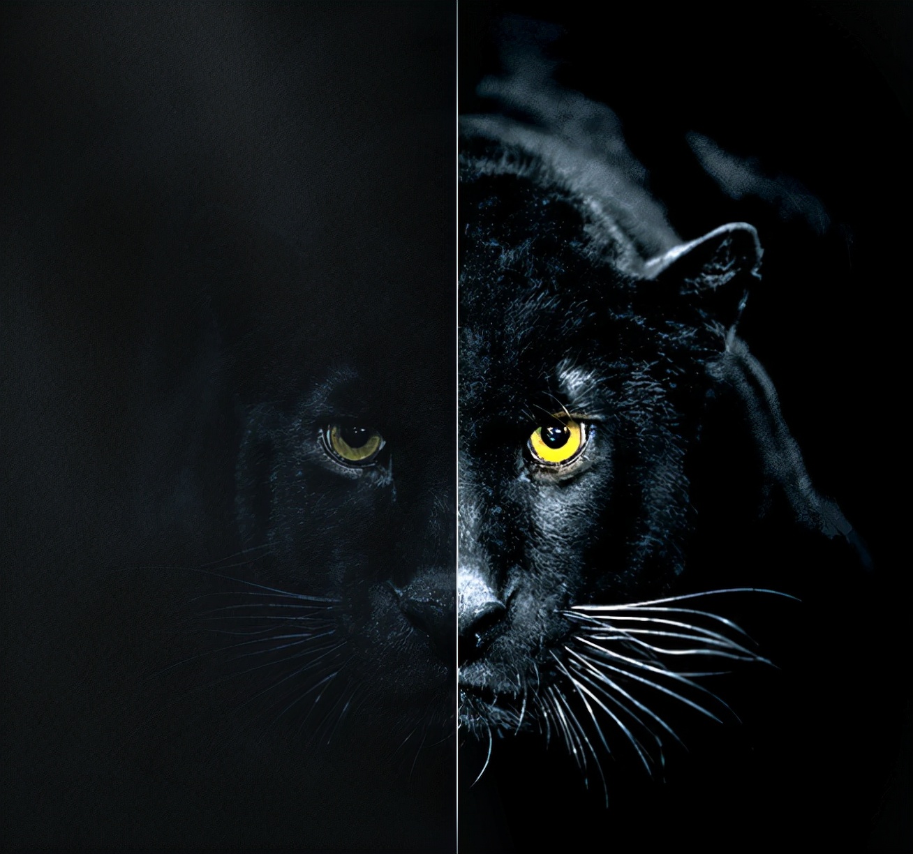 音画双绝才是高端电视该有的样子，东芝火箭炮电视77X8900KF体验