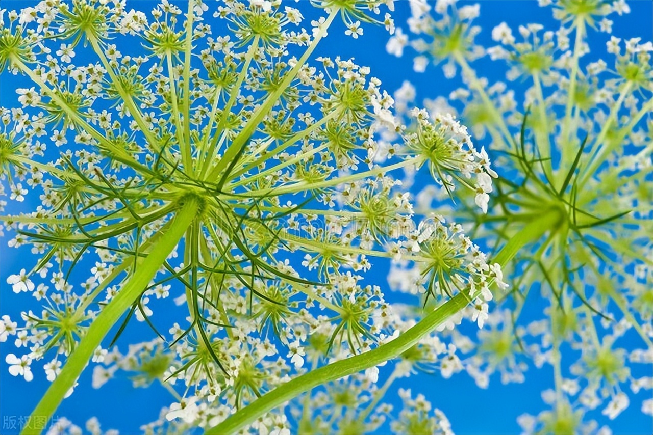 夫妻做生意赔钱靠老人,妻子做生意赔了50万