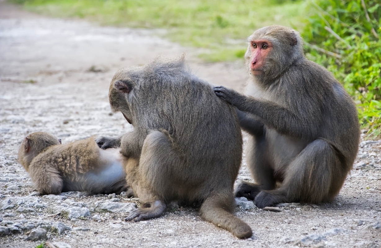 海天一色风景如画,海天一色绝美美景
