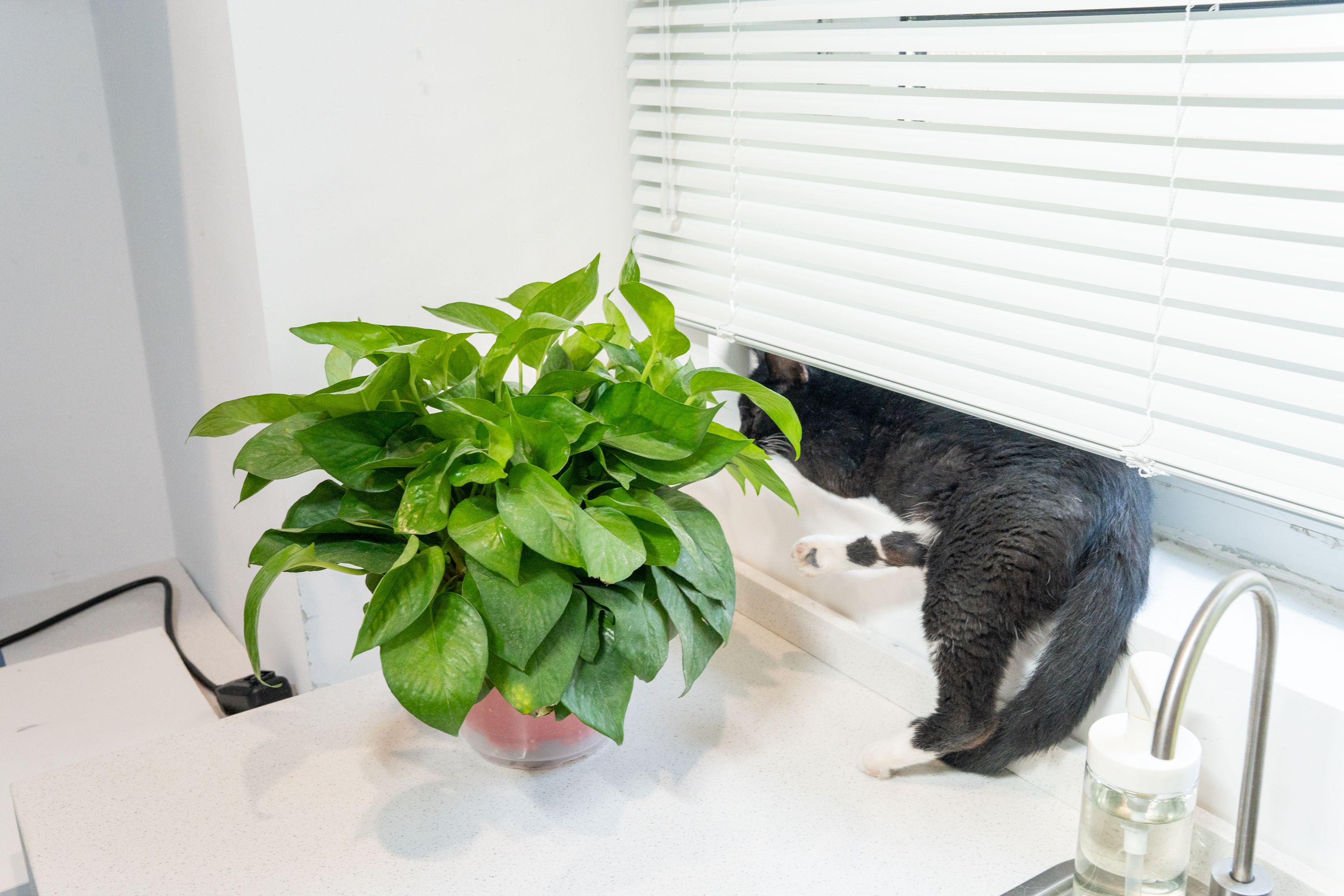 低楼层光线暗怎样提升采光,低楼层采光不好不想开灯怎么改善