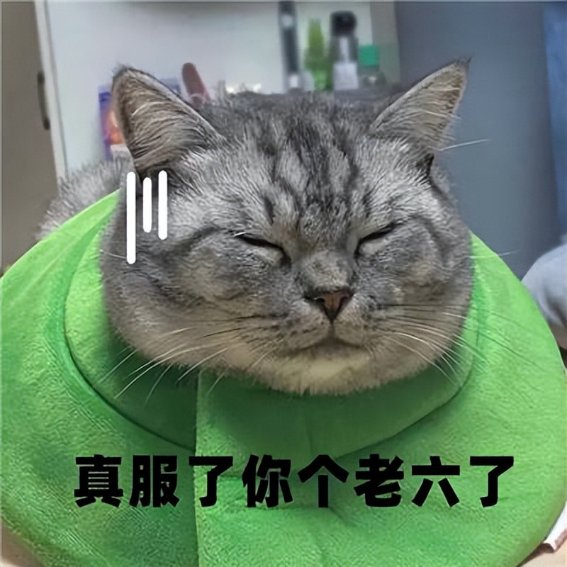 公布2022年十大流行语,2022年春晚流行语