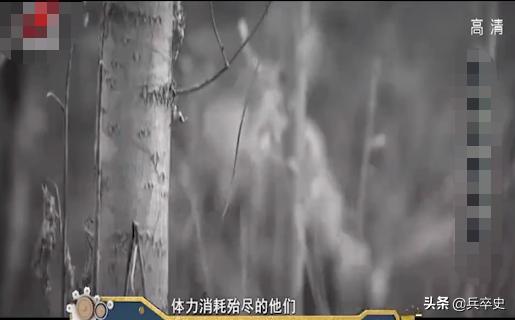 野猪林诡异事件,野猪林神秘事件