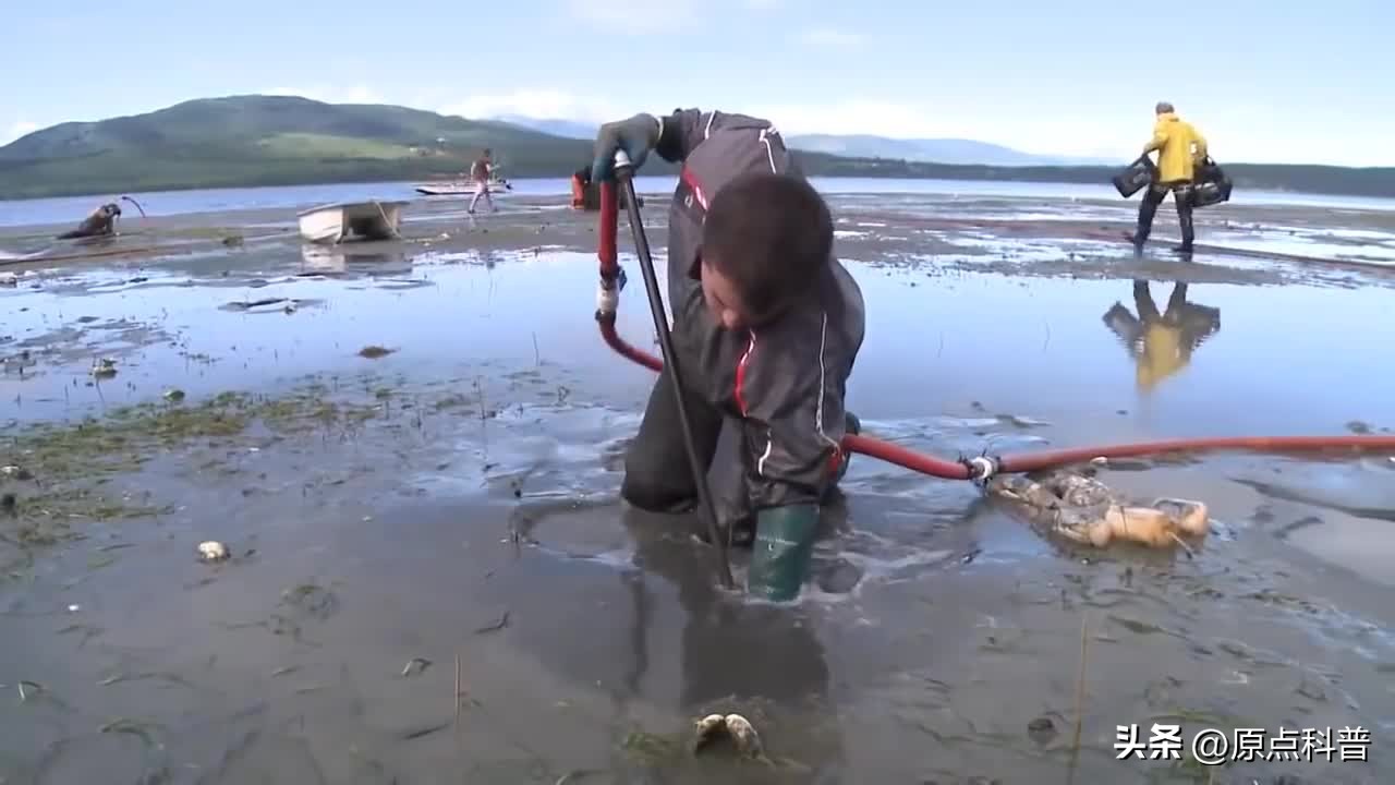 十大不起眼的赚钱行业排行榜最新,小县城利润最高的不起眼行业赚钱