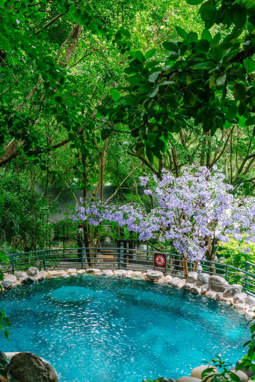 云南西部大峡谷泡温泉,云南原始森林温泉