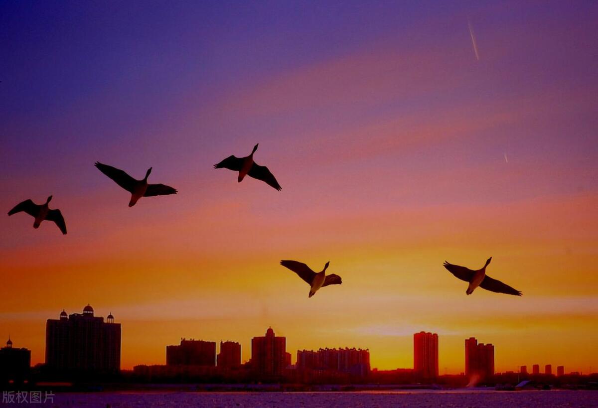 激励人生精辟句子简短搞笑,激励人生精辟句子简短