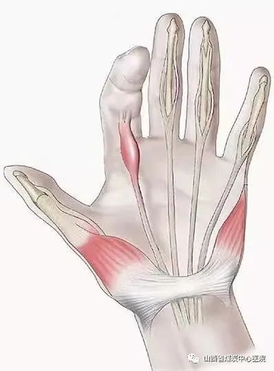 山西煤炭中心医院超声科主任,山西省煤炭中心医院在哪