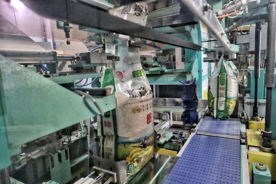 稻田野餐包场看银河！这个小城很出名，但你大概率没听过！