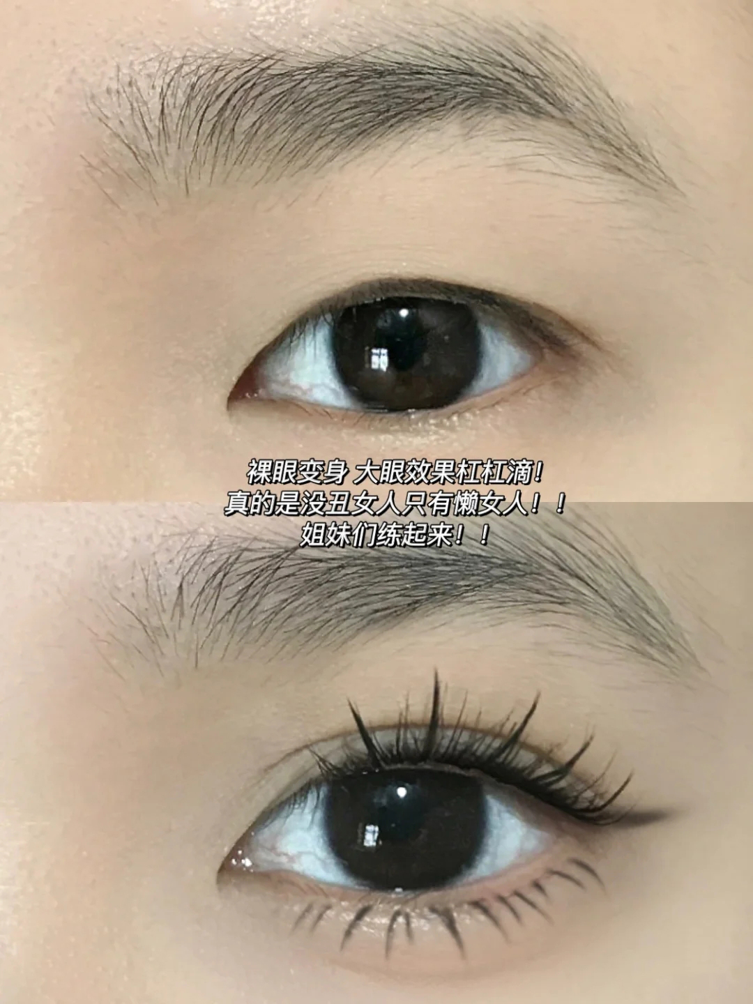 怎么弄假睫毛视频教程,新手种植睫毛假睫毛练习视频