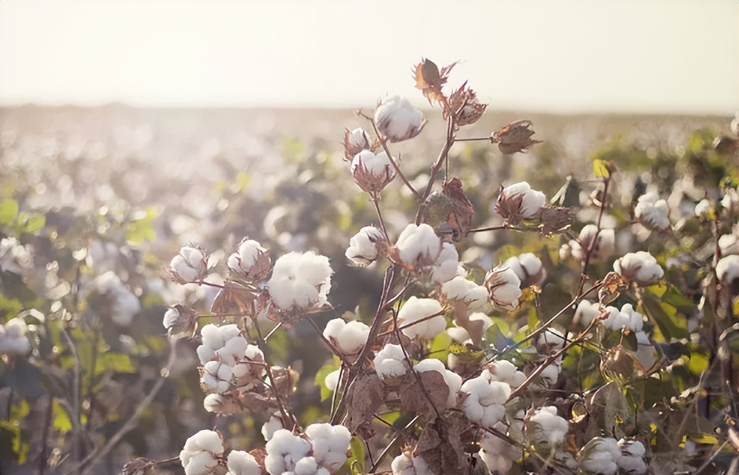 深度学习的思维导图的学习心得,思维导图在深度学习中的应用
