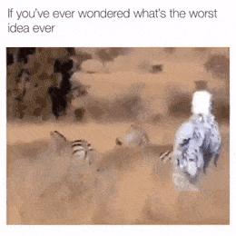 100个难得一见照片,火山爆发时的岩浆图片真实