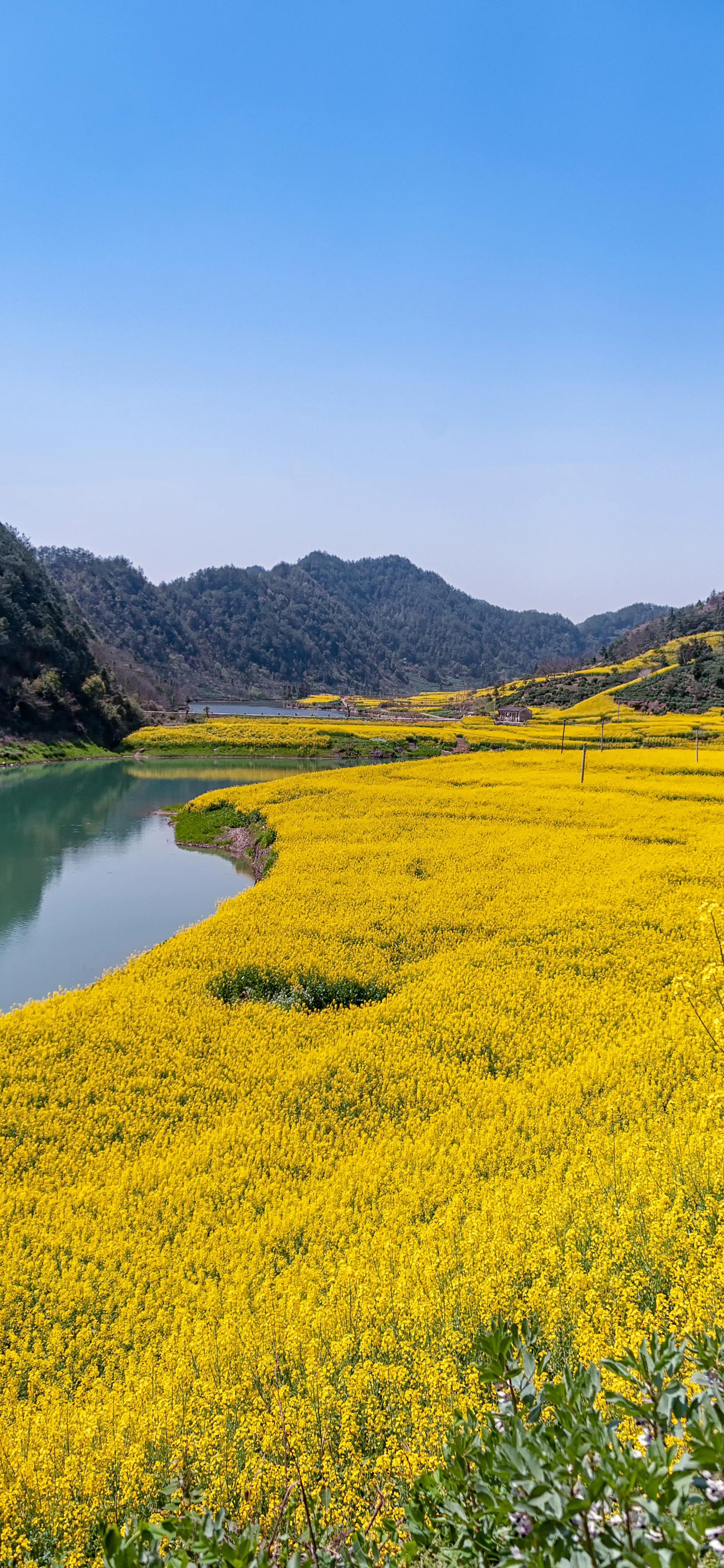 自然风景高清手机壁纸黑色,自然风景高清手机壁纸图片