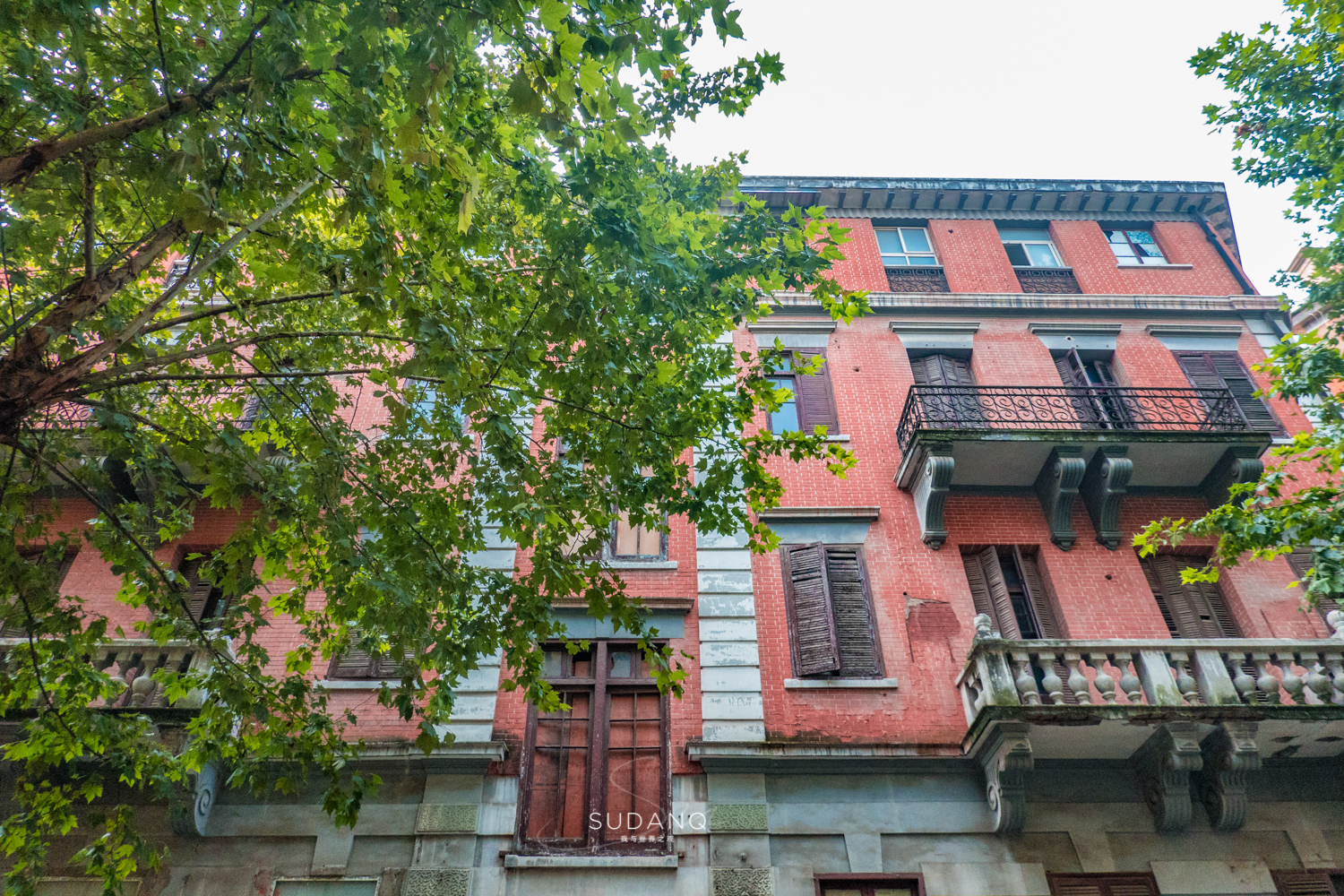 国外俩兄弟买了一栋别墅,武汉100年老房子带院子出售