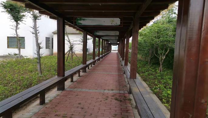 洪湖市沙口镇水口村瞿家湾,湖北省荆州市沙口镇水口村