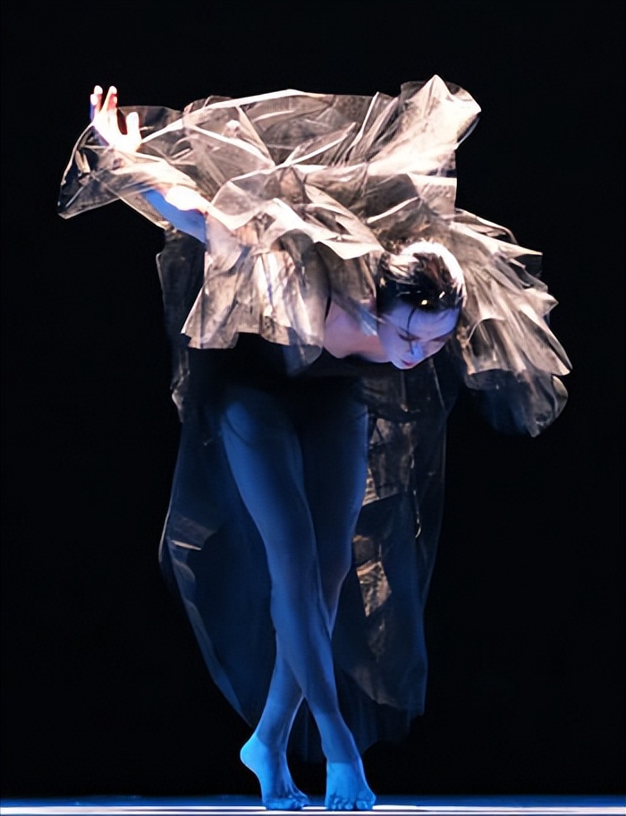 金星做变性手术都经历了什么,金星做变性手术的节目