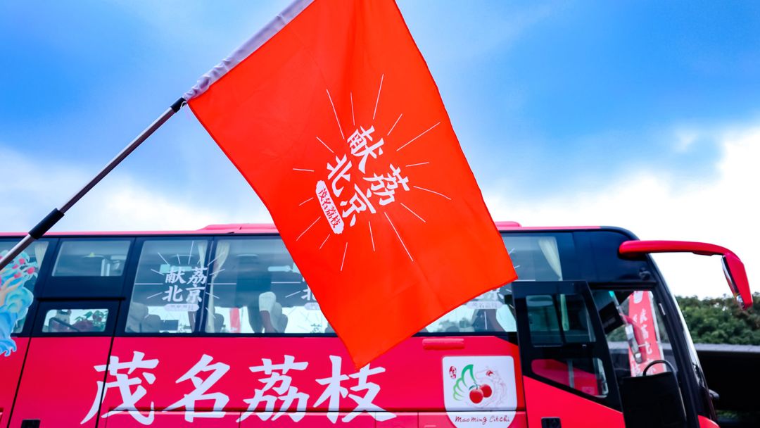 茂名当地出名的荔枝品牌,高州荔枝百亿品牌