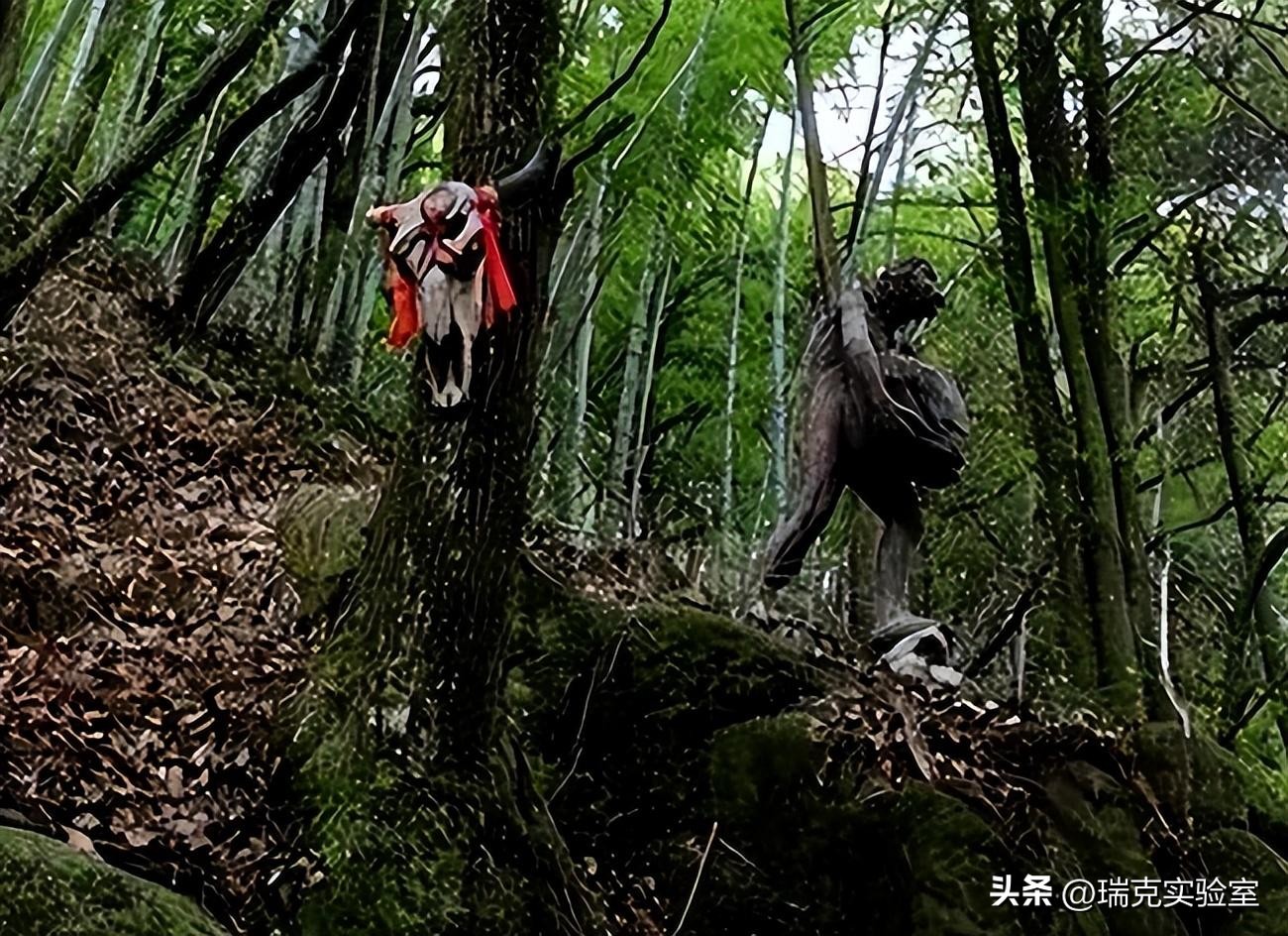 半夜搜山发现怪异生物,大鲵神秘生物