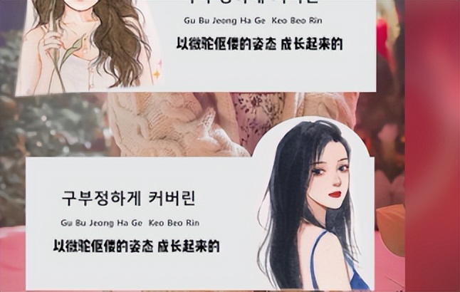 韩圈还有哪些追星必备app,追星girl必备软件