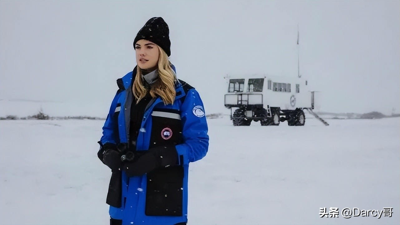 加拿大鹅事件背后的傲慢与偏见,加拿大鹅和北面哪个更烂大街