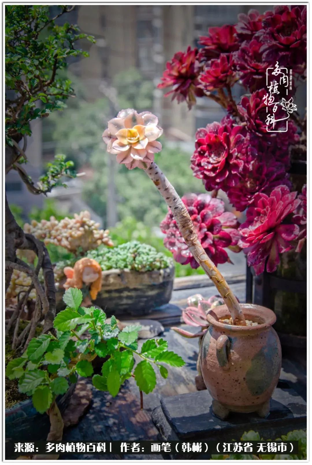 每个人的身旁都要有太阳,每个人都有一颗太阳