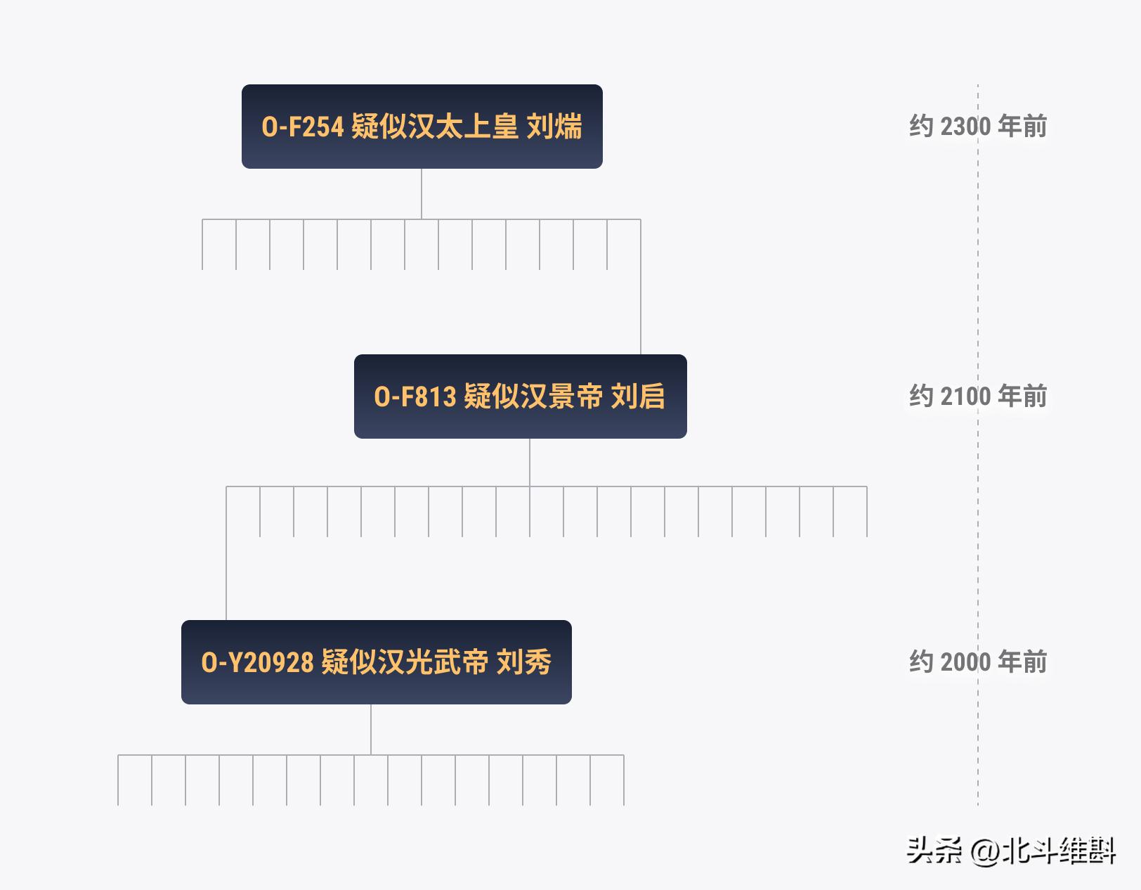 中国dna确定100万年古人类,从dna角度看人类