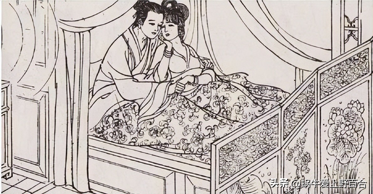 紫衣龟仙玄冥,龟仙紫衣