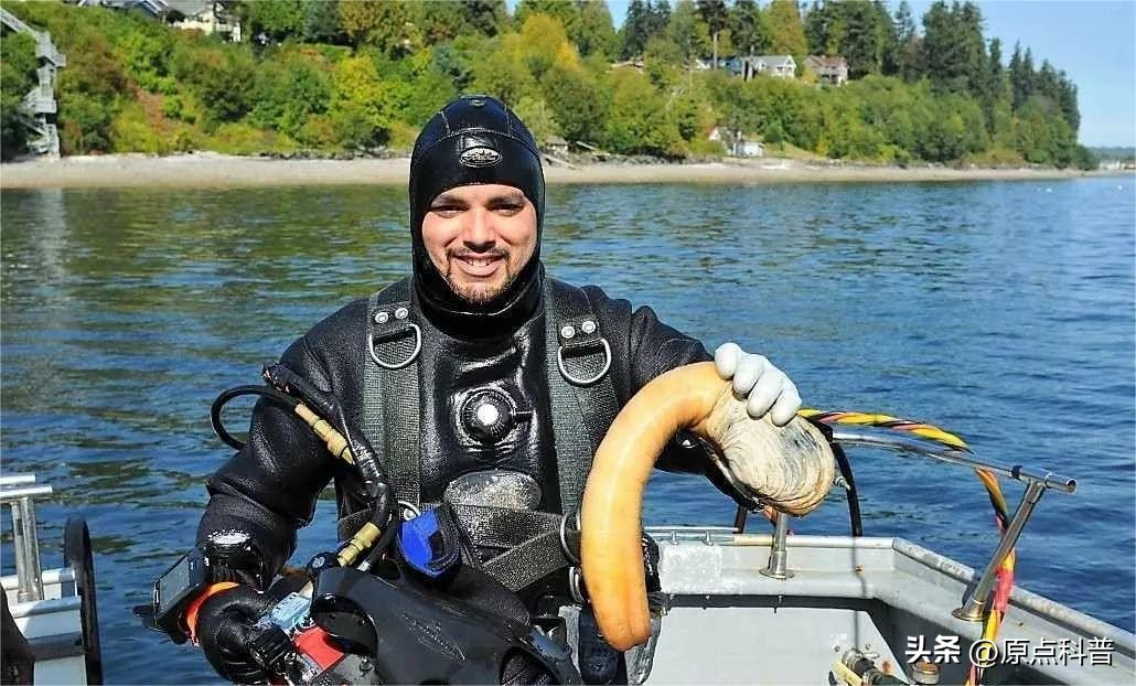 世界十大顶级海鲜排名,世界上十大最贵的十种海鲜