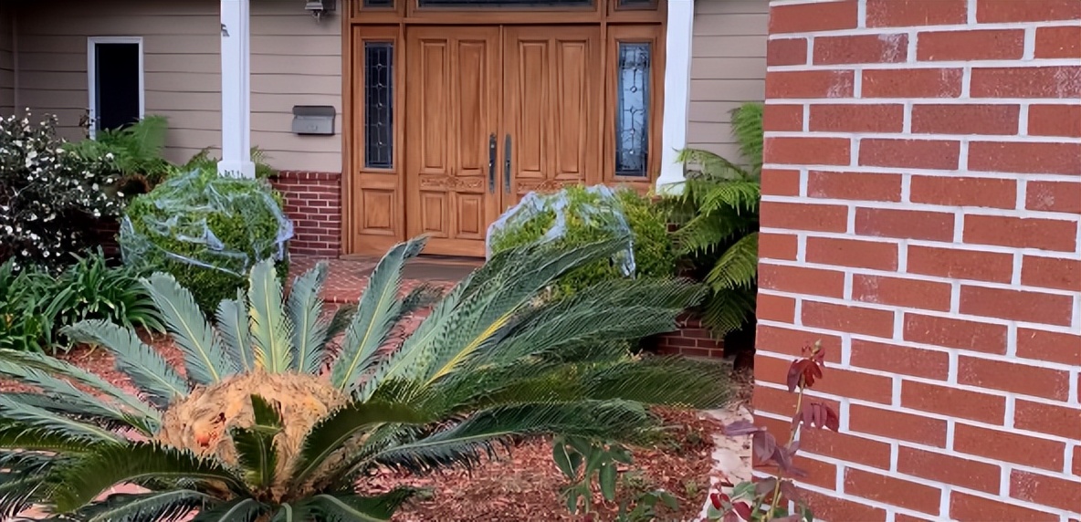 美国穷人真实居住生活视频,美国穷人农村每天真实生活视频