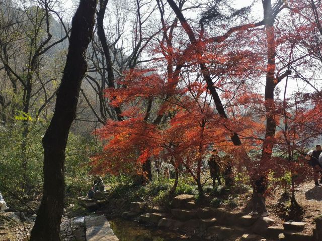 杭州周边赏秋好去处,杭州赏秋最佳攻略