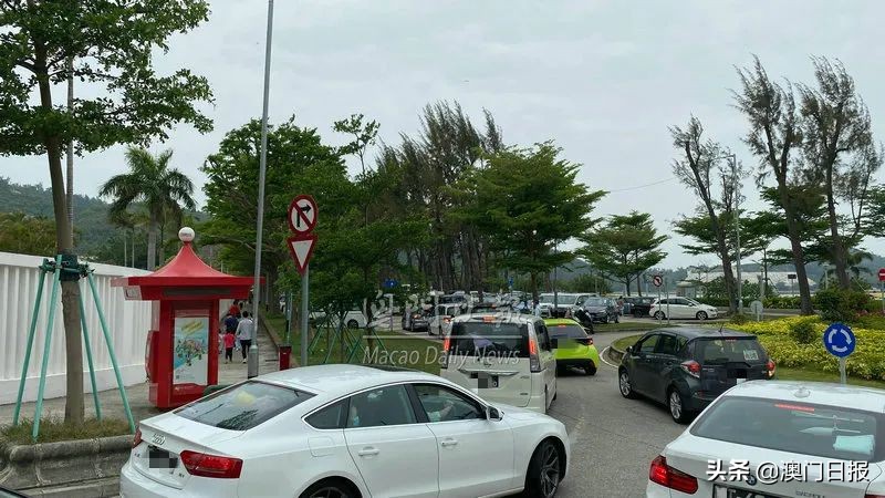 黑沙滩假期人气盛