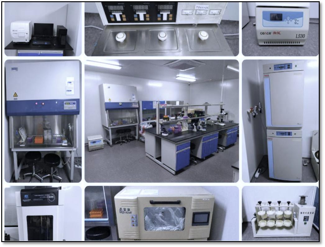 鏄婁桨鐢熺墿,鏄婁桨鐢熺墿绉戞妧鑲′唤鏈夐檺鍏徃