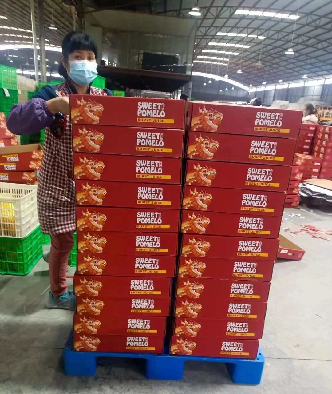 从代办到年出4000万斤货的厂长 广西南宁20年柑橘大王的致富经