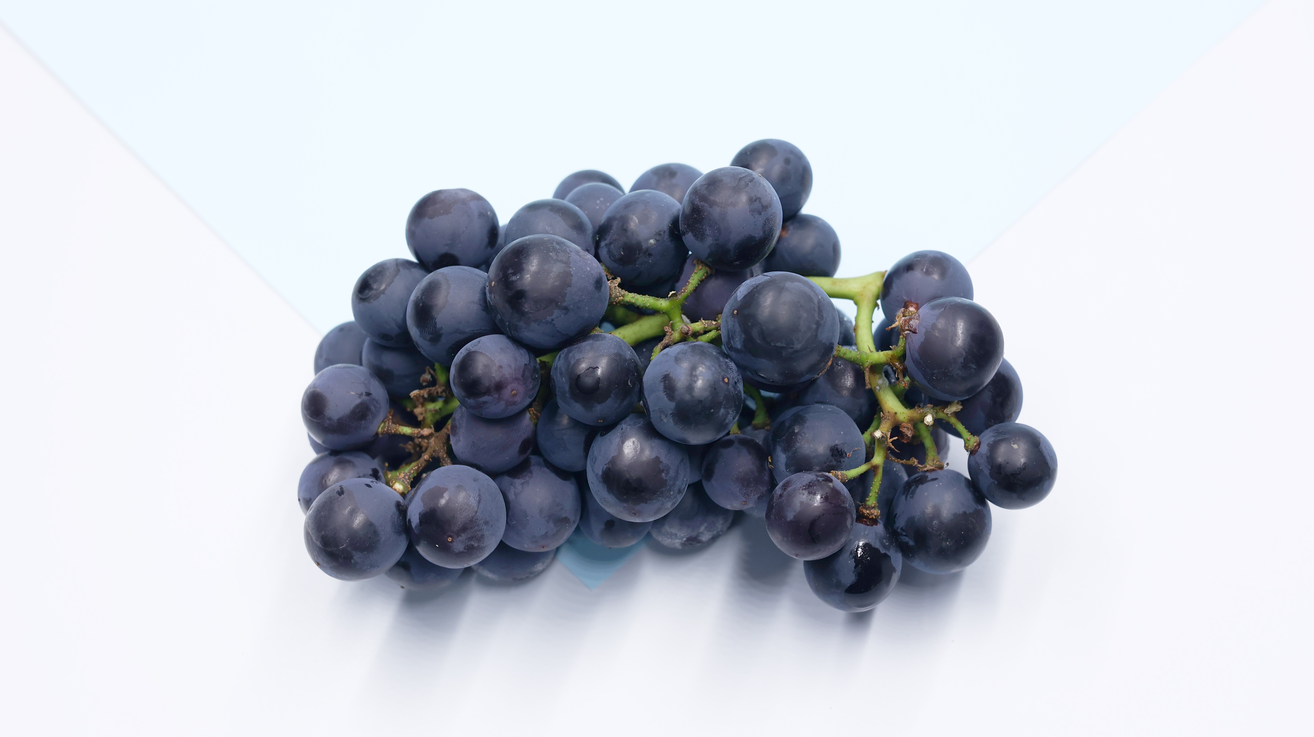 长期失眠的神药,长期失眠的神奇药