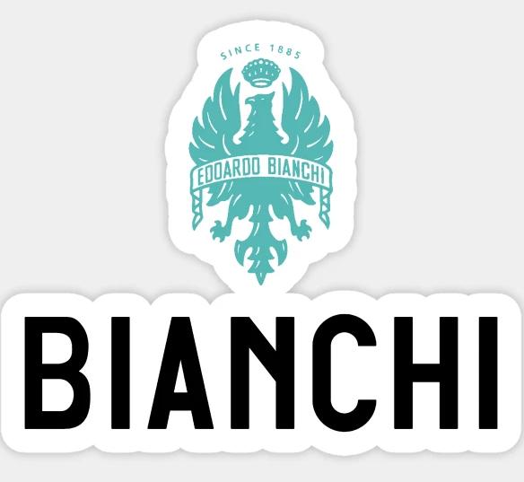 2022年全球自行车十大品牌,2024年自行车品牌十大排名榜